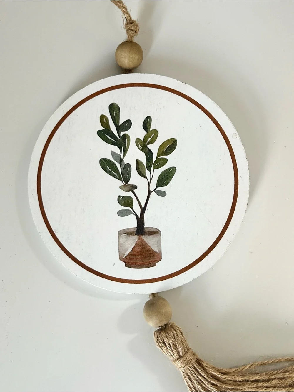 Boho Plant Wall Decor Wall Hanging